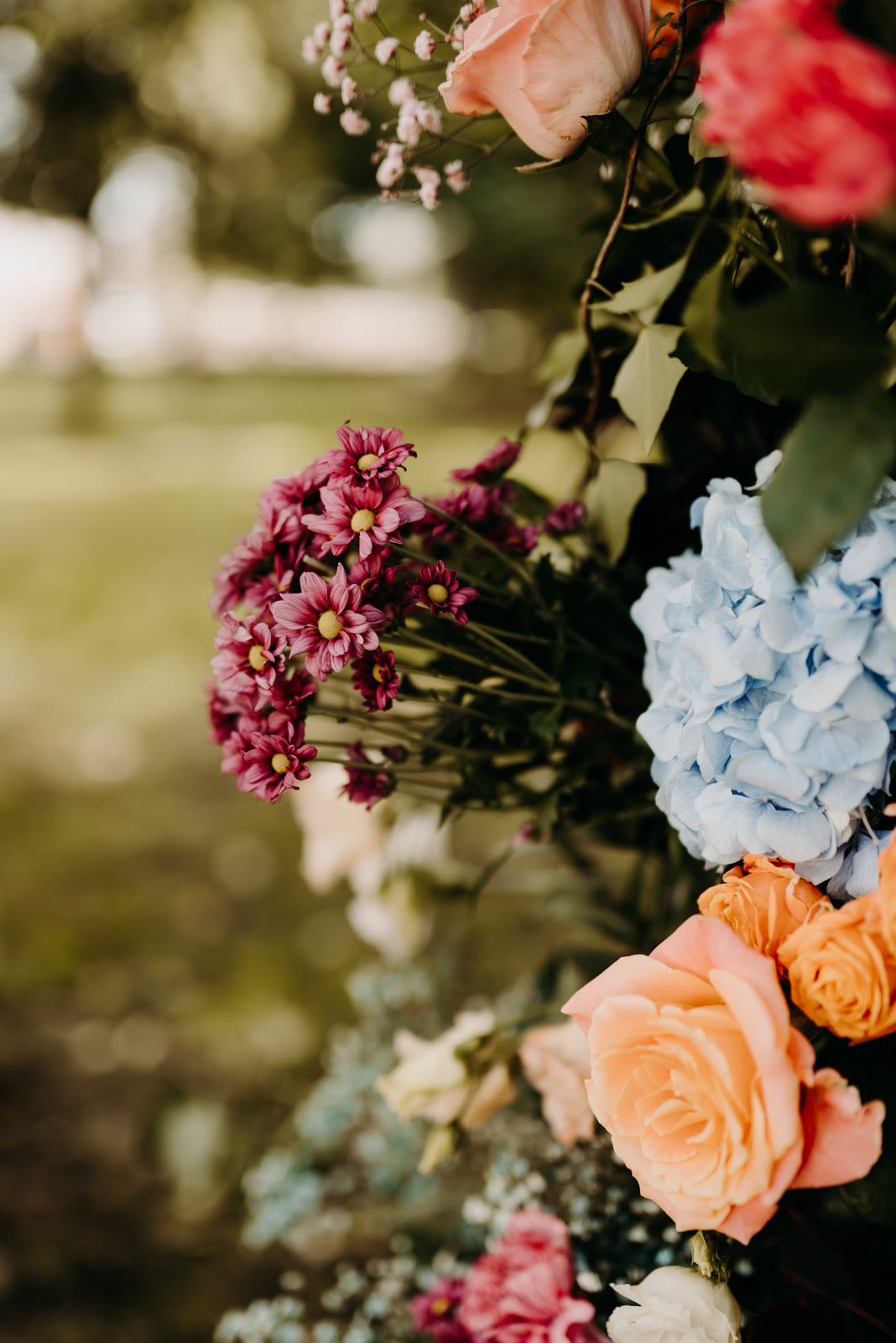 Gros plan de fleurs fraîches d'une composition