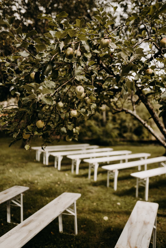 Bancs de cérémonie installés sous les arbres d'un verger fleuri